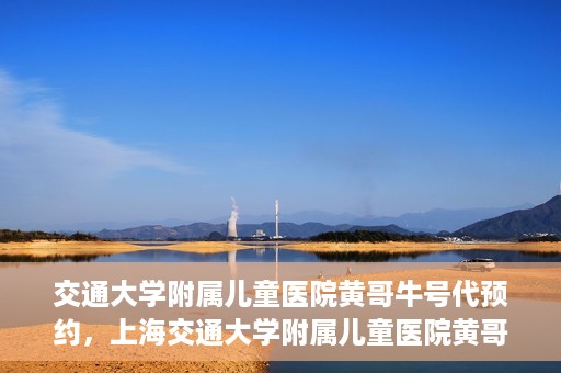交通大学附属儿童医院黄哥牛号代预约，上海交通大学附属儿童医院黄哥牛号预约指南，轻松预约，关爱儿童健康之路