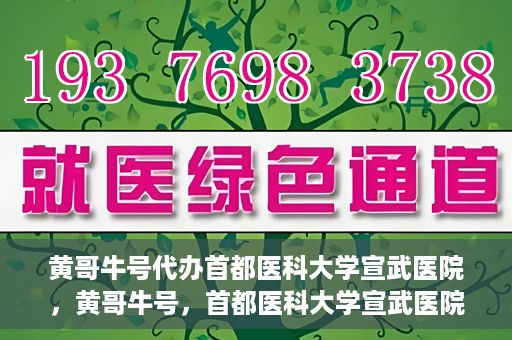 黄哥牛号代办首都医科大学宣武医院，黄哥牛号，首都医科大学宣武医院代办服务