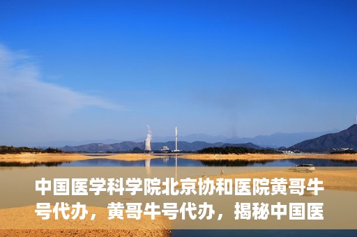 中国医学科学院北京协和医院黄哥牛号代办，黄哥牛号代办，揭秘中国医学科学院北京协和医院背后的故事