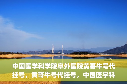 中国医学科学院阜外医院黄哥牛号代挂号，黄哥牛号代挂号，中国医学科学院阜外医院便捷就医新途径