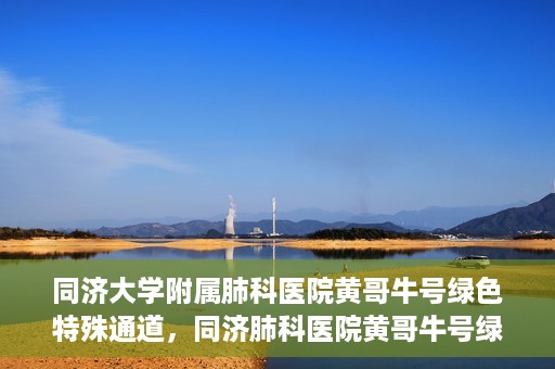 同济大学附属肺科医院黄哥牛号绿色特殊通道，同济肺科医院黄哥牛号绿色特殊通道揭秘