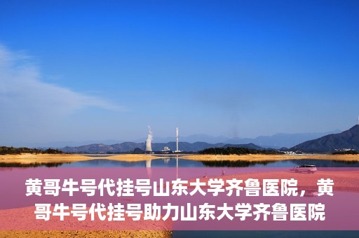 黄哥牛号代挂号山东大学齐鲁医院，黄哥牛号代挂号助力山东大学齐鲁医院就医无忧