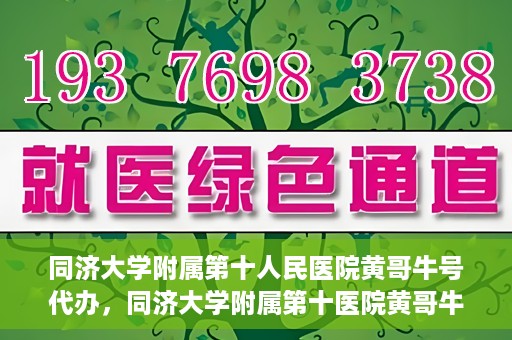 同济大学附属第十人民医院黄哥牛号代办，同济大学附属第十医院黄哥牛号预约代办服务解析