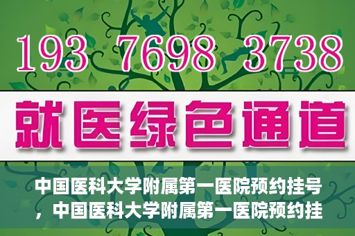中国医科大学附属第一医院预约挂号，中国医科大学附属第一医院预约挂号指南，一站式解决您的就医难题