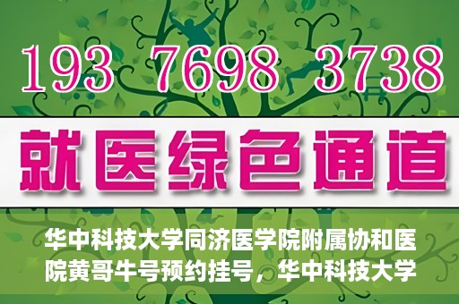 华中科技大学同济医学院附属协和医院黄哥牛号预约挂号，华中科技大学同济医学院附属协和医院黄哥牛号预约挂号攻略解析