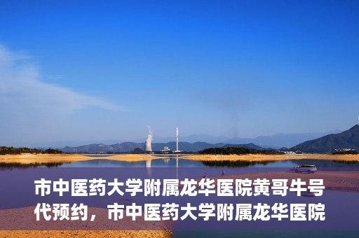 市中医药大学附属龙华医院黄哥牛号代预约，市中医药大学附属龙华医院黄哥牛号预约服务启动
