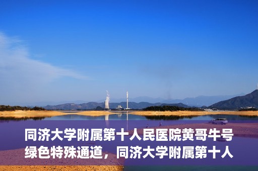 同济大学附属第十人民医院黄哥牛号绿色特殊通道，同济大学附属第十人民医院黄哥牛号，绿色特殊通道开启健康之门