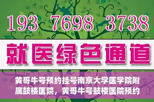 黄哥牛号预约挂号南京大学医学院附属鼓楼医院，黄哥牛号鼓楼医院预约挂号启动，便捷就医新体验