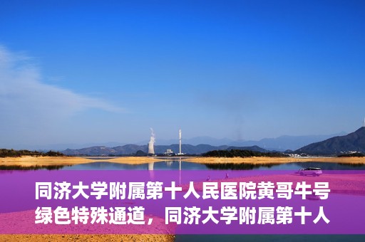 同济大学附属第十人民医院黄哥牛号绿色特殊通道，同济大学附属第十人民医院黄哥牛号，绿色特殊通道开启健康之门