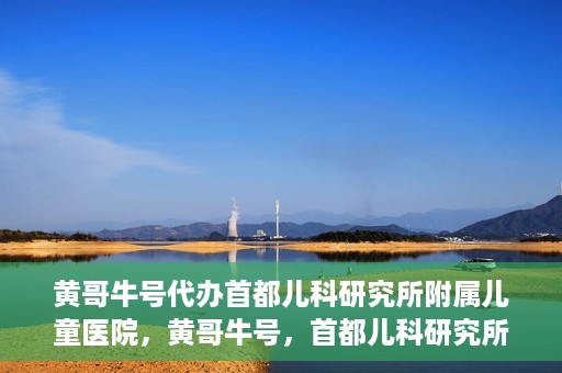 黄哥牛号代办首都儿科研究所附属儿童医院，黄哥牛号，首都儿科研究所附属儿童医院的代办服务