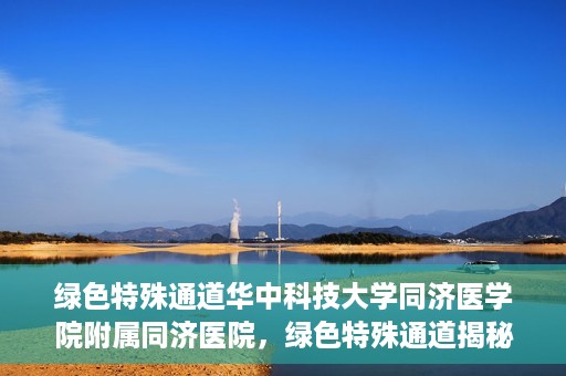 绿色特殊通道华中科技大学同济医学院附属同济医院，绿色特殊通道揭秘，华中科技大学同济医学院附属同济医院的探索之路