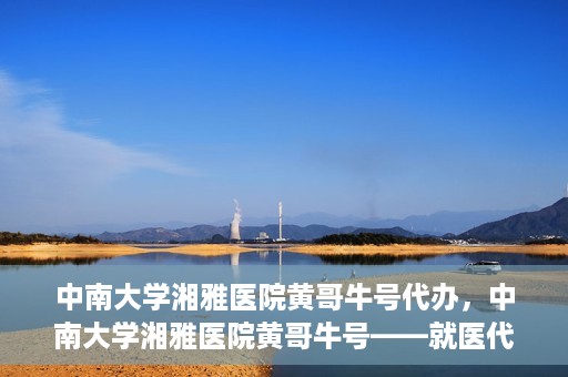 中南大学湘雅医院黄哥牛号代办，中南大学湘雅医院黄哥牛号——就医代办服务详解