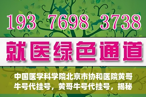 中国医学科学院北京市协和医院黄哥牛号代挂号，黄哥牛号代挂号，揭秘中国医学科学院北京市协和医院挂号背后的故事