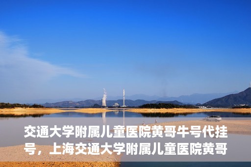 交通大学附属儿童医院黄哥牛号代挂号，上海交通大学附属儿童医院黄哥牛号代挂号攻略