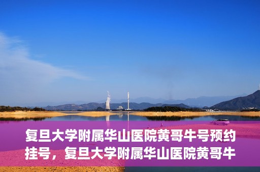 复旦大学附属华山医院黄哥牛号预约挂号，复旦大学附属华山医院黄哥牛号预约挂号攻略详解