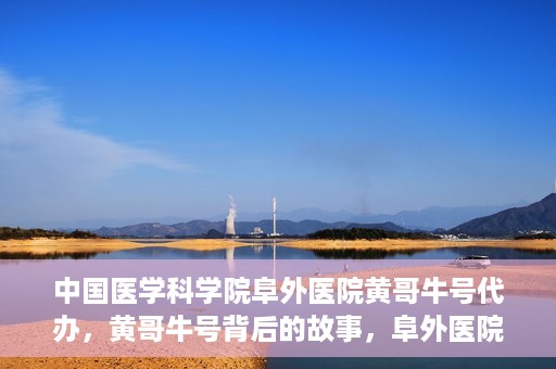 中国医学科学院阜外医院黄哥牛号代办，黄哥牛号背后的故事，阜外医院名医揭秘与医疗服务的深度解读