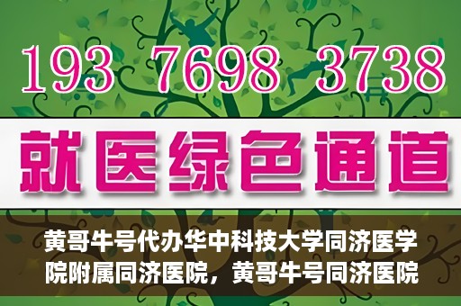 黄哥牛号代办华中科技大学同济医学院附属同济医院，黄哥牛号同济医院代办服务，专业助力就医无忧！