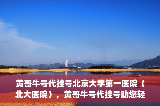 黄哥牛号代挂号北京大学第一医院（北大医院），黄哥牛号代挂号助您轻松预约北京大学第一医院（北大医院）专家号