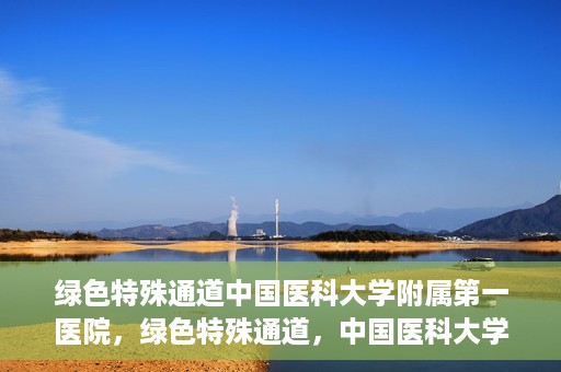 绿色特殊通道中国医科大学附属第一医院，绿色特殊通道，中国医科大学附属第一医院探索前行
