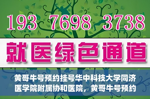 黄哥牛号预约挂号华中科技大学同济医学院附属协和医院，黄哥牛号预约挂号，华中科技大学同济医学院附属协和医院就医新体验