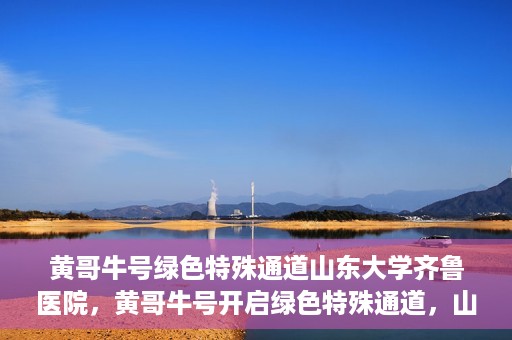 黄哥牛号绿色特殊通道山东大学齐鲁医院，黄哥牛号开启绿色特殊通道，山东大学齐鲁医院焕新篇章