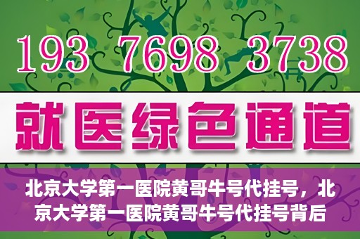 北京大学第一医院黄哥牛号代挂号，北京大学第一医院黄哥牛号代挂号背后的故事与真相探索