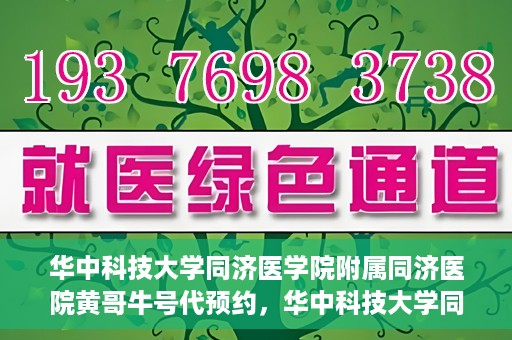 华中科技大学同济医学院附属同济医院黄哥牛号代预约，华中科技大学同济医院黄哥牛号预约服务解析