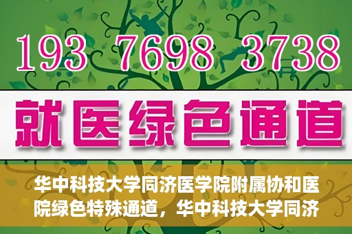 华中科技大学同济医学院附属协和医院绿色特殊通道，华中科技大学同济医学院附属协和医院，绿色特殊通道的探索与实践