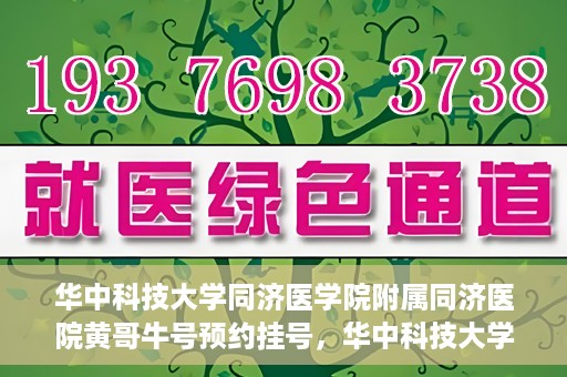 华中科技大学同济医学院附属同济医院黄哥牛号预约挂号，华中科技大学同济医院黄哥牛号预约挂号攻略