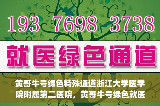 黄哥牛号绿色特殊通道浙江大学医学院附属第二医院，黄哥牛号绿色就医通道，浙江大学医学院附属第二医院的探索与实践