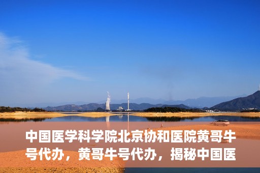 中国医学科学院北京协和医院黄哥牛号代办，黄哥牛号代办，揭秘中国医学科学院北京协和医院背后的故事