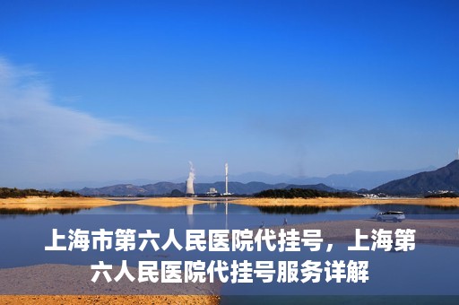 上海市第六人民医院代挂号，上海第六人民医院代挂号服务详解