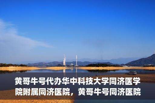 黄哥牛号代办华中科技大学同济医学院附属同济医院，黄哥牛号同济医院代办服务，专业助力就医无忧！