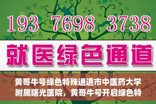 黄哥牛号绿色特殊通道市中医药大学附属曙光医院，黄哥牛号开启绿色特殊通道，市中医药大学附属曙光医院倾力打造健康新篇章