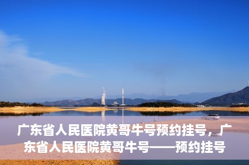 广东省人民医院黄哥牛号预约挂号，广东省人民医院黄哥牛号——预约挂号攻略