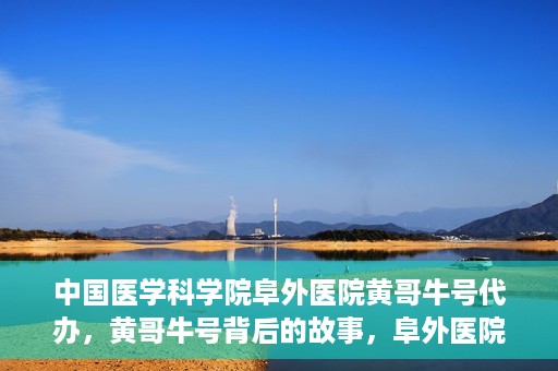 中国医学科学院阜外医院黄哥牛号代办，黄哥牛号背后的故事，阜外医院名医揭秘与医疗服务的深度解读