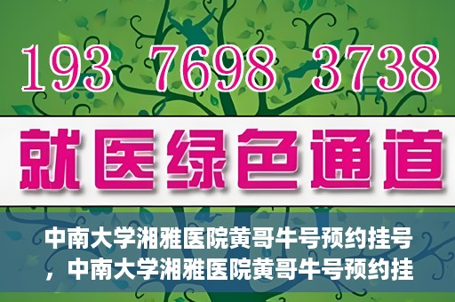 中南大学湘雅医院黄哥牛号预约挂号，中南大学湘雅医院黄哥牛号预约挂号攻略，轻松挂号，无忧就医体验
