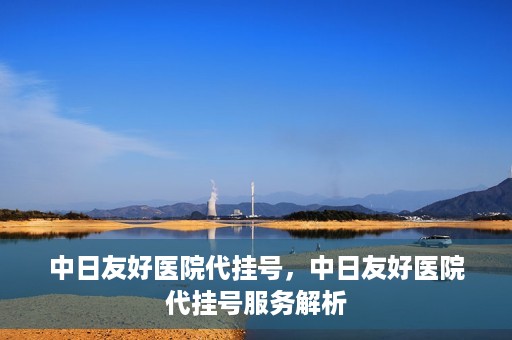 中日友好医院代挂号，中日友好医院代挂号服务解析