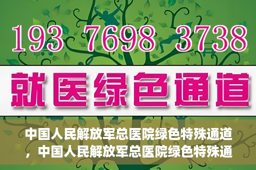 中国人民解放军总医院绿色特殊通道，中国人民解放军总医院绿色特殊通道，医疗服务的紧急通道与人文关怀的完美结合