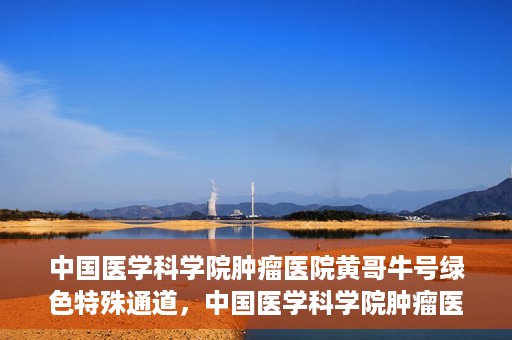 中国医学科学院肿瘤医院黄哥牛号绿色特殊通道，中国医学科学院肿瘤医院黄哥牛号，绿色特殊通道开启健康之门