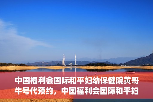 中国福利会国际和平妇幼保健院黄哥牛号代预约，中国福利会国际和平妇幼保健院预约挂号新动向，黄哥牛号代预约服务启动