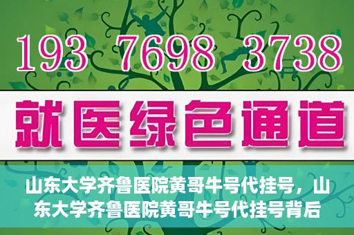 山东大学齐鲁医院黄哥牛号代挂号，山东大学齐鲁医院黄哥牛号代挂号背后的故事与探索