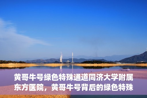 黄哥牛号绿色特殊通道同济大学附属东方医院，黄哥牛号背后的绿色特殊通道，同济大学附属东方医院的探索与实践