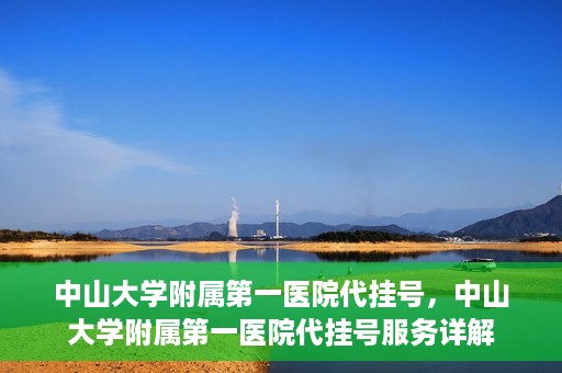 中山大学附属第一医院代挂号，中山大学附属第一医院代挂号服务详解