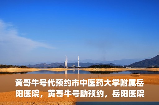 黄哥牛号代预约市中医药大学附属岳阳医院，黄哥牛号助预约，岳阳医院中医魅力体验之旅