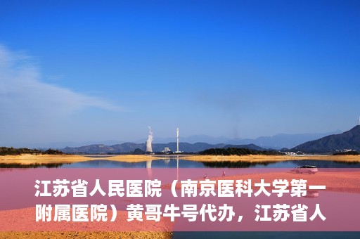 江苏省人民医院（南京医科大学第一附属医院）黄哥牛号代办，江苏省人民医院（南京医科大学第一附属医院）黄哥牛号业务代办攻略