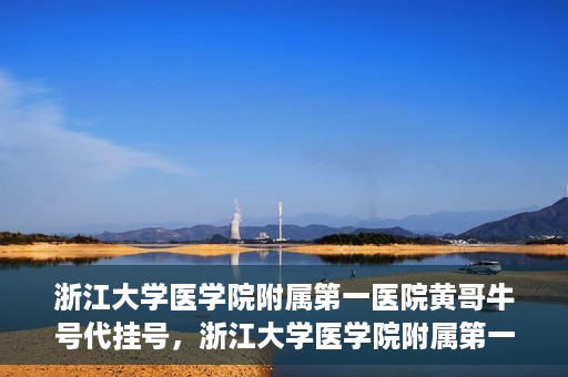 浙江大学医学院附属第一医院黄哥牛号代挂号，浙江大学医学院附属第一医院黄哥牛号代挂号服务解析