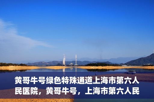 黄哥牛号绿色特殊通道上海市第六人民医院，黄哥牛号，上海市第六人民医院绿色特殊通道揭秘