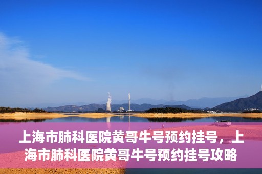 上海市肺科医院黄哥牛号预约挂号，上海市肺科医院黄哥牛号预约挂号攻略，轻松掌握挂号秘籍
