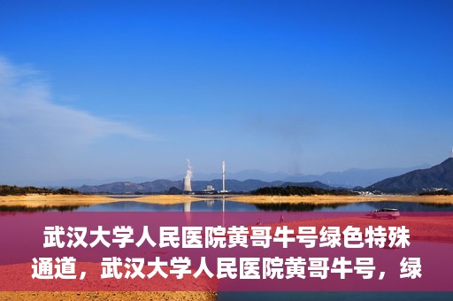 武汉大学人民医院黄哥牛号绿色特殊通道，武汉大学人民医院黄哥牛号，绿色特殊通道开启